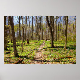 Poster Trilha Woodland em Primavera precoce