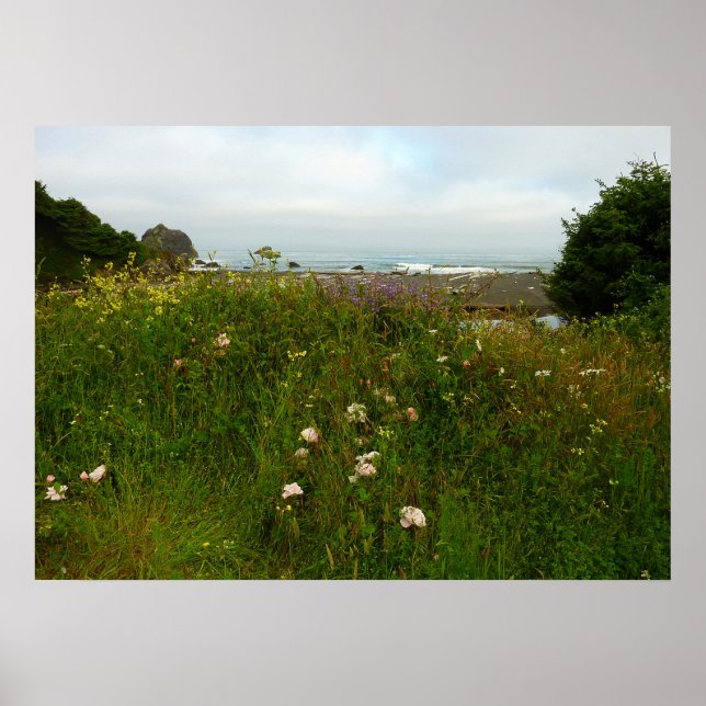 Poster Trilha Yurok Loop no Parque Nacional de Redwood (Frente)