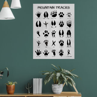 Poster Trilhas de Montanha
