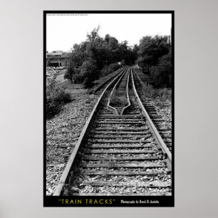 Pôster Trilhas do trem