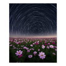Trilhas Estelares Cosmos Campo de Flores Céu Notur