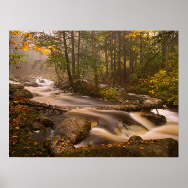 Poster Trilhas Fluindo Appalachian Trail | Vermont (Frente)