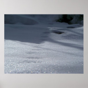 Pôster Trilhas na neve