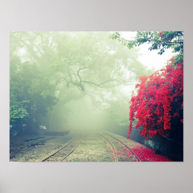 Poster Trilhos de Trem Nebulosos Foto Cênica (Frente)