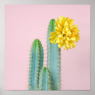 Poster Trio azul do cacto