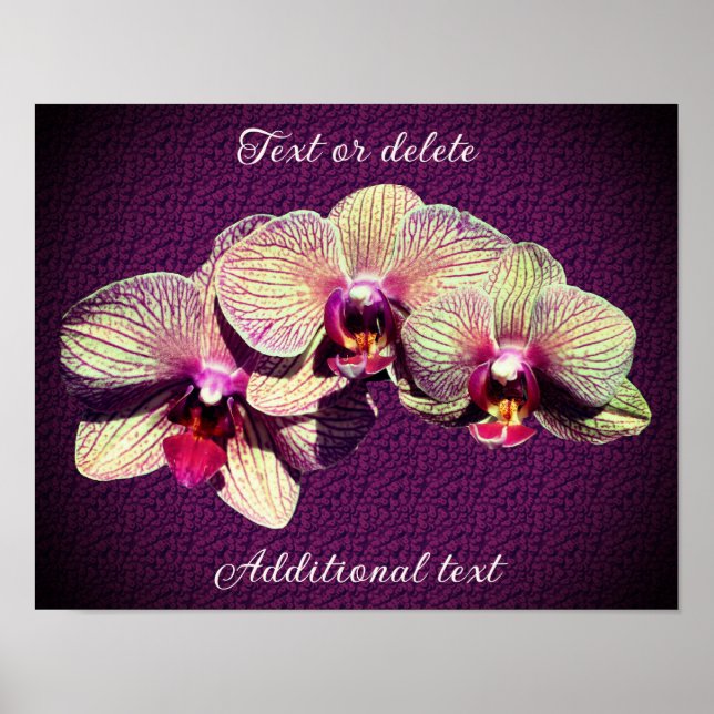 Poster Trio de Flor Orquídeo Adicionar Seu Próprio Texto (Frente)