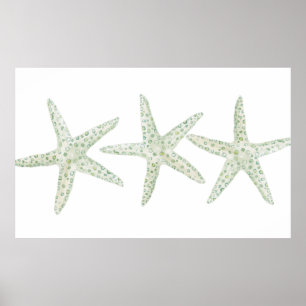 Poster Trio de Starfish da Aquarela