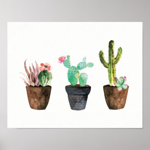 Pôster Trio um do cacto e do Succulent