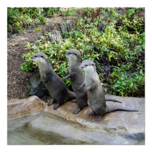 Pôster **"Tripla Problema: As Aventuras de Outro Triplet