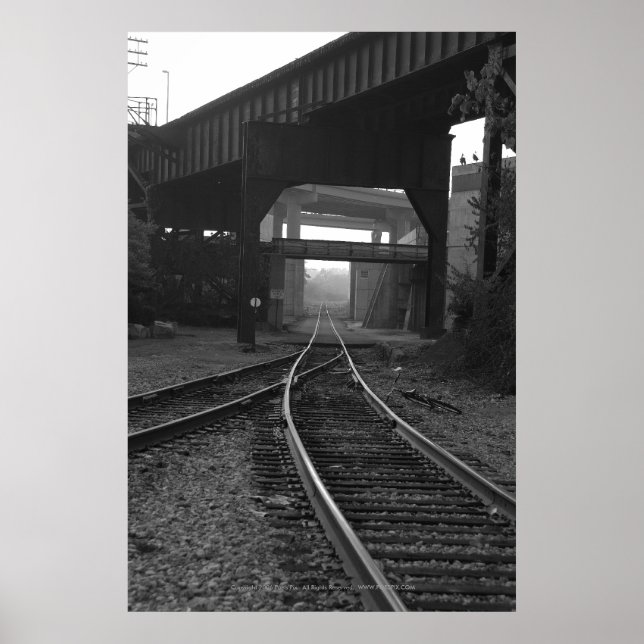 Poster Triple Crossings (Frente)