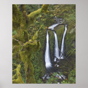 Poster Triple Falls, Desfiladeiro do Rio Columbia