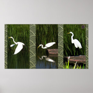 Poster Triptych branco do guindaste (Egret)