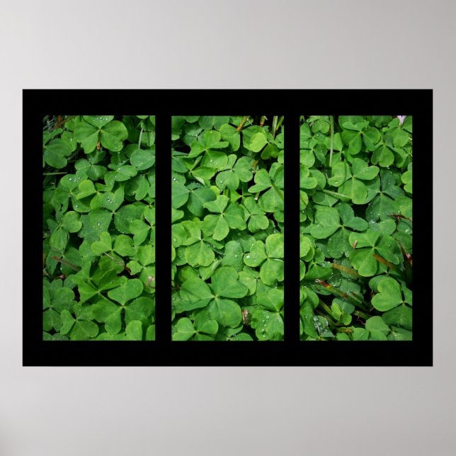 Poster Triptych Cloverleaf (Frente)