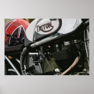 PÔSTER TRITON
