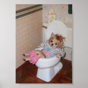 Poster Triunfo no Vaso Sanitário da Chihuahua Retro Heath