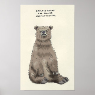 Pôster trivia do urso pardo