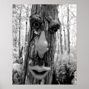 Poster troll de árvore em uma grande árvore Cypress.