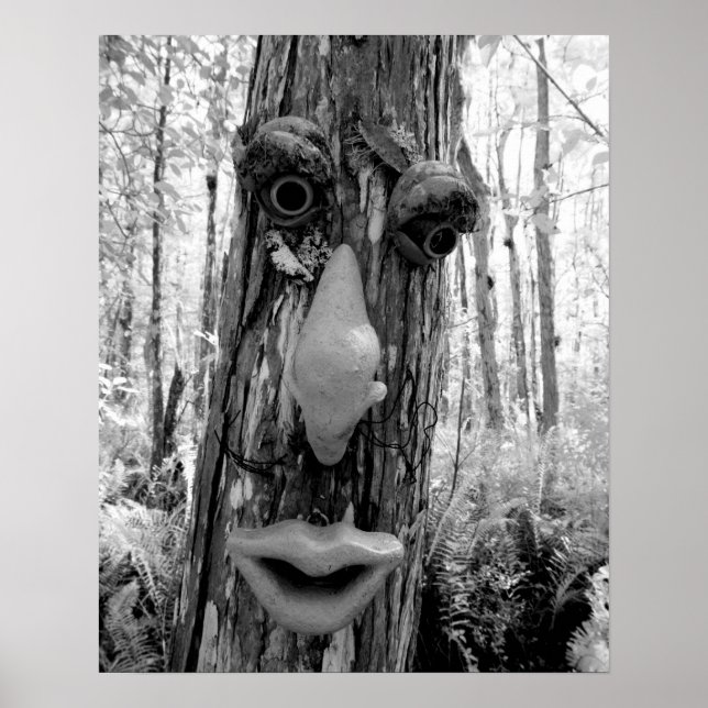 Poster Troll de árvore em uma grande árvore Cypress. (Frente)