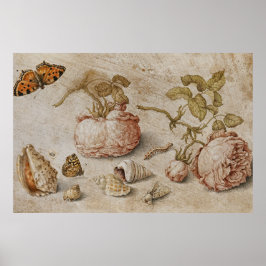 Poster Trompe l'oeil Ainda Vida - Jan van Kessel, o Velho