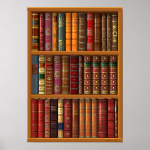 Pôster Trompe l'oeil "French library".