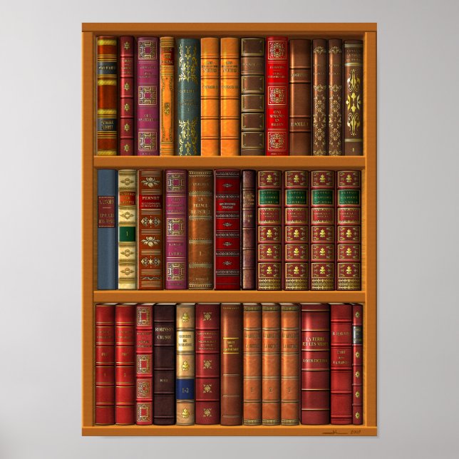 Poster Trompe l'oeil "French library". (Frente)