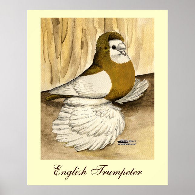Poster Trompeter Inglês Pombo Amarelo (Frente)
