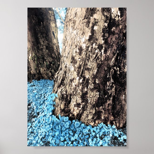 Poster troncos de árvore (Frente)