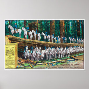 Pôster Tropa mim e na frente do gigante caído