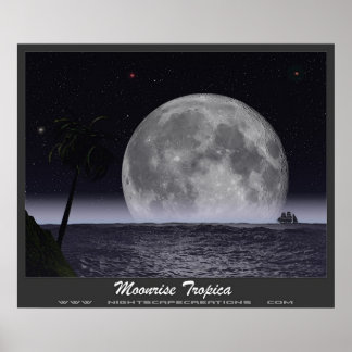 Pôster Tropica de Moonrise