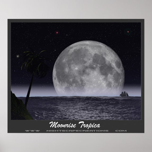 Pôster Tropica de Moonrise (Frente)