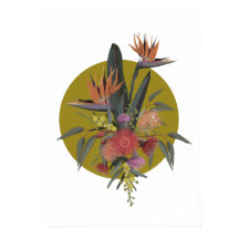 Tropicais australianos