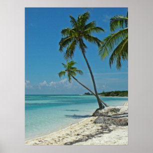 Poster tropical da praia