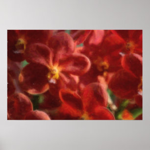 Poster tropical havaiano da orquídea