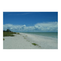 Tropical Island Beach Photo Sanibel Florida