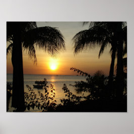 Pôster Tropical Paradise