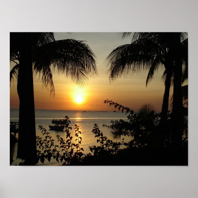 Pôster Tropical Paradise (Frente)