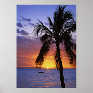 Poster Tropical sunset with palm tree