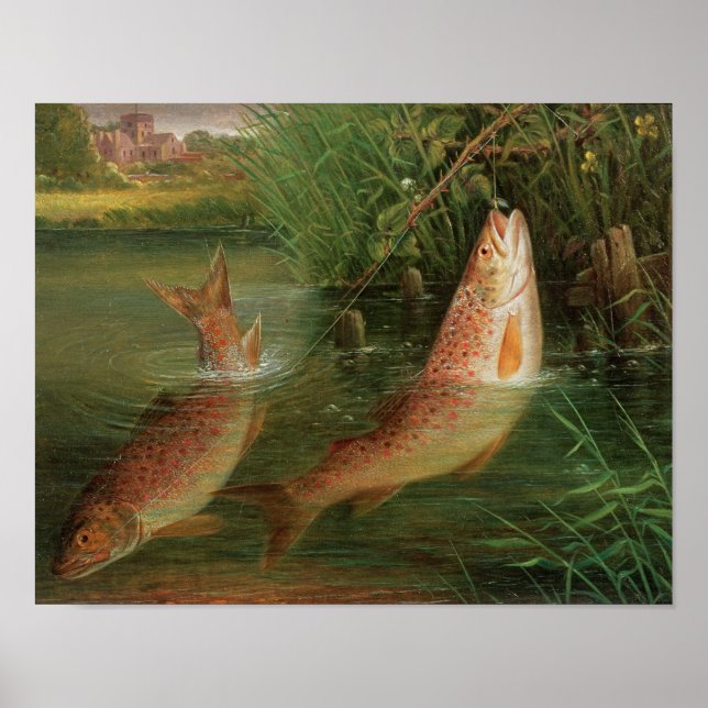 Pôster Trout at Winchester (Frente)