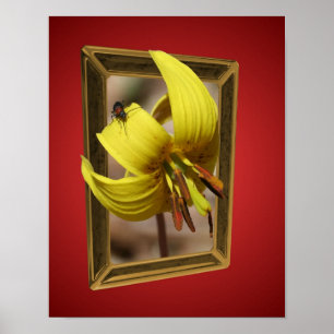 Pôster Trout Lily Flower Out Of Bounds Art