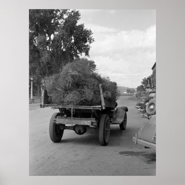 Pôster Truckload of Tumbleweed, 1939 (Frente)