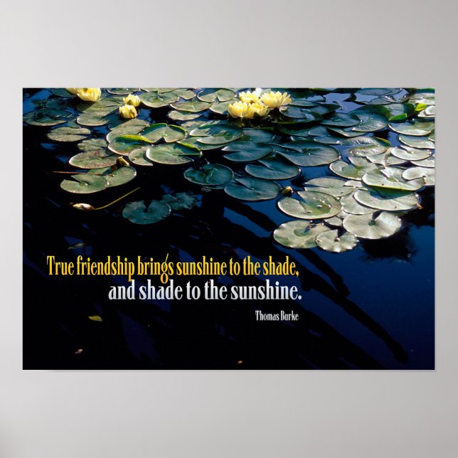 Poster True Friendship (Frente)