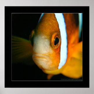 Poster Truk Yamagiri Maru 009bcr