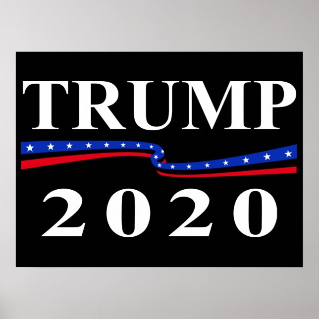 Poster Trump 2020 (Frente)