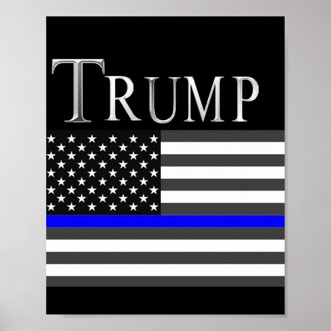 POSTER TRUMP 2020 (Frente)