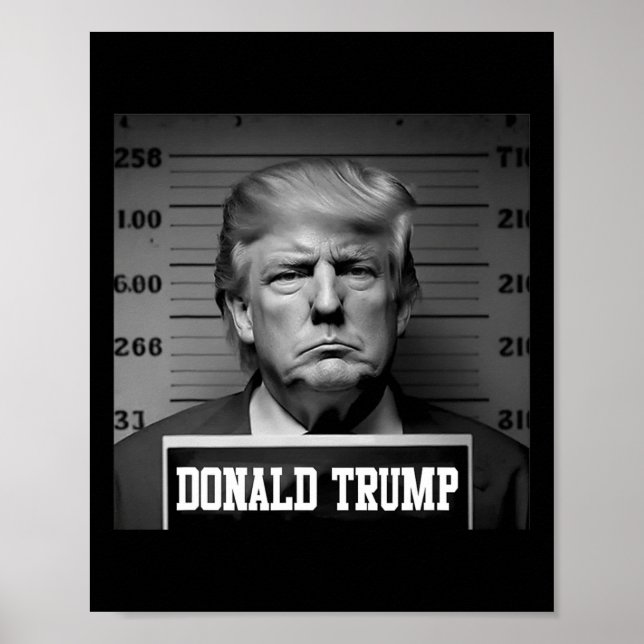 Poster Trump 2024 Mugshot Trump Mug Shot Presidente (Frente)