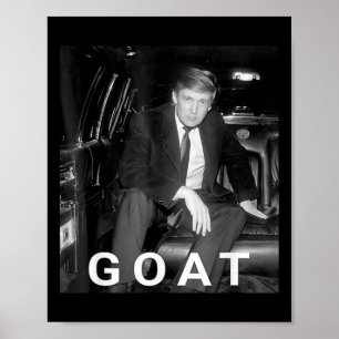 Poster Trump 2025 Trump Jovem