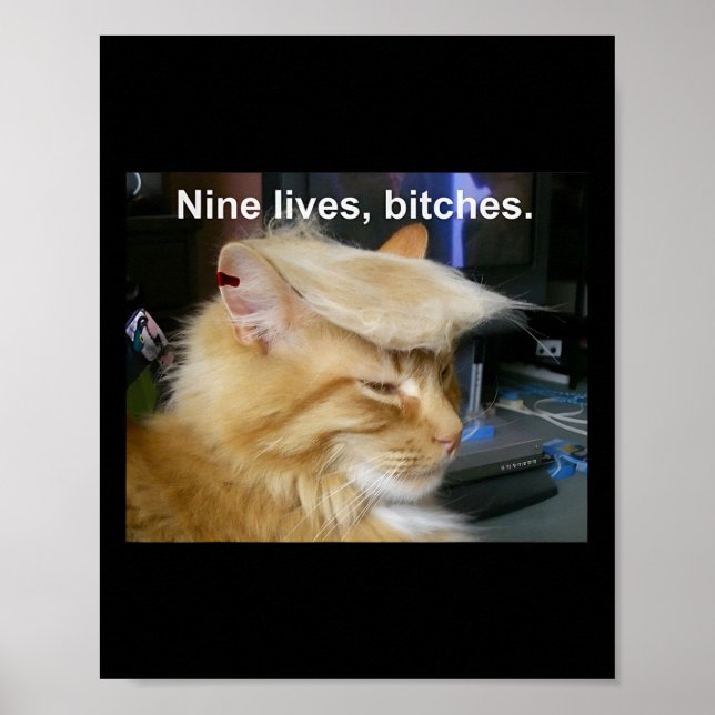 Poster Trump Cat Nine Vive Engraçado Trump 2024 Votação E (Frente)