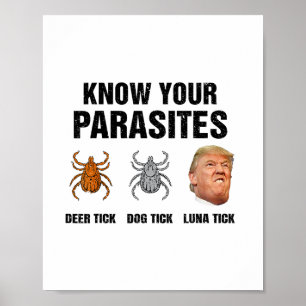 Poster Trump Conheça Seus Parasitas Carrapato de Cervo Ca