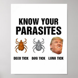 Poster Trump Conheça Seus Parasitas Carrapato de Cervo Ca