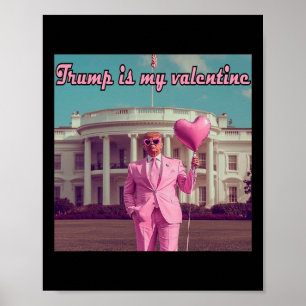 Poster Trump É Meu Namorados